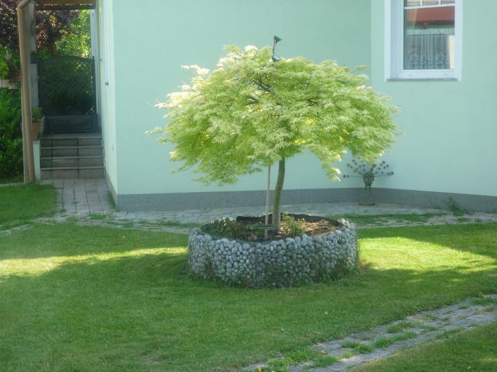 Gartenpension Prosl Wien Exterior foto